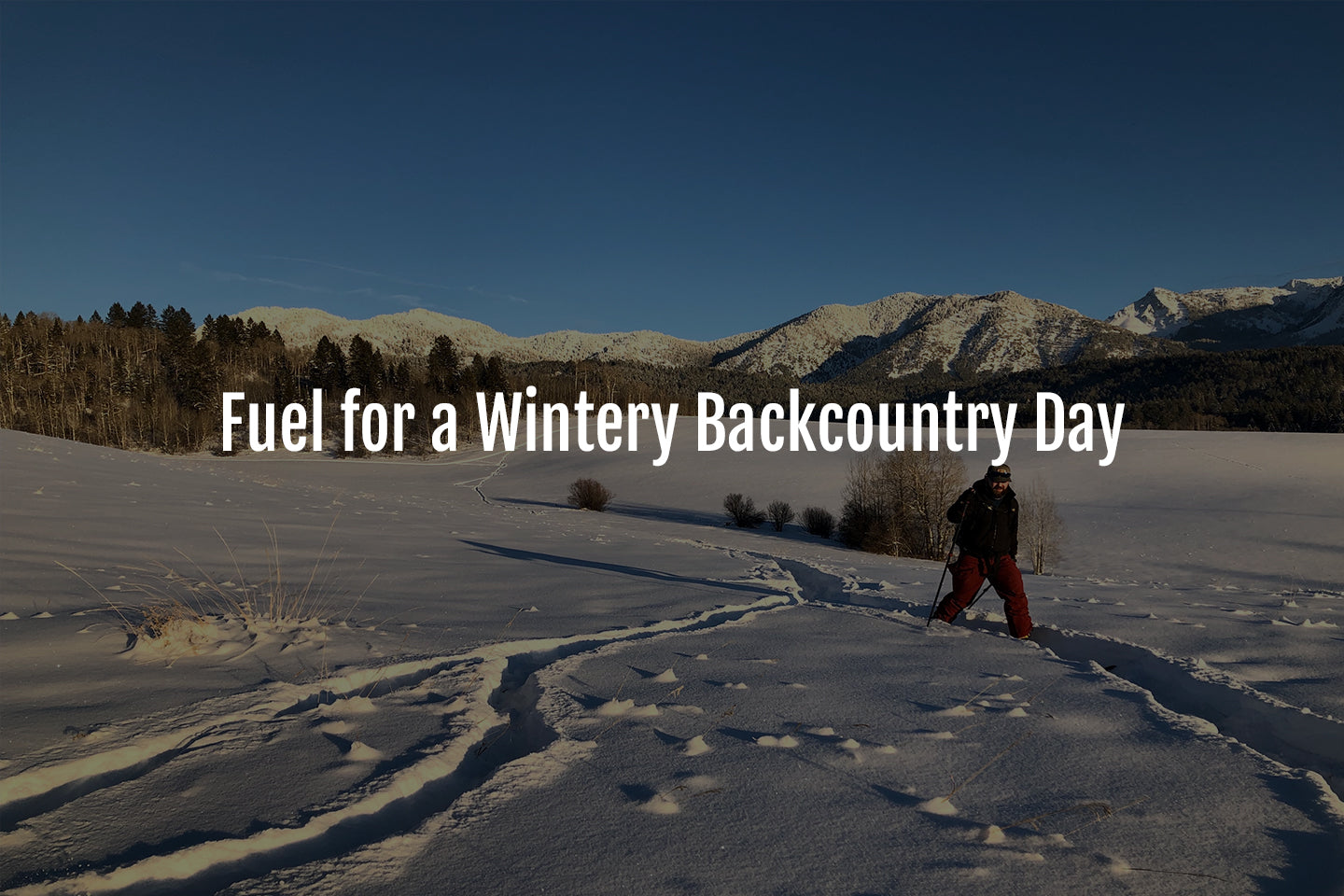 Fuel for a Wintery Backcountry Day